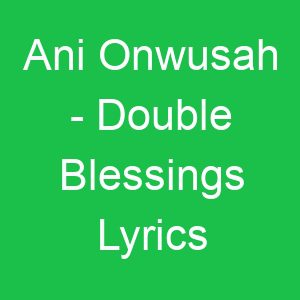 Ani Onwusah Double Blessings Lyrics