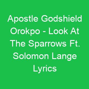 Apostle Godshield Orokpo Look At The Sparrows Ft Solomon Lange Lyrics