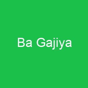 Ba Gajiya