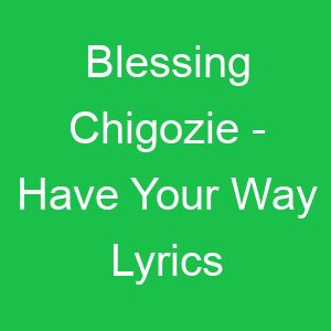 Blessing Chigozie Have Your Way Lyrics
