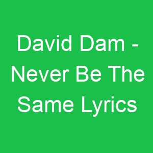 David Dam Never Be The Same Lyrics