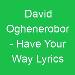 David Oghenerobor Have Your Way Lyrics