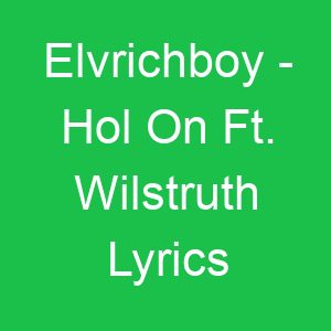 Elvrichboy Hol On Ft Wilstruth Lyrics