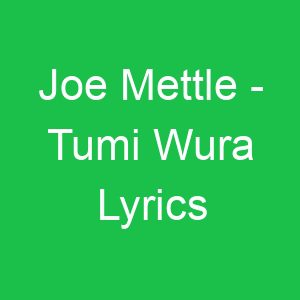 Joe Mettle Tumi Wura Lyrics