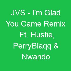 JVS I'm Glad You Came Remix Ft Hustie, PerryBlaqq & Nwando