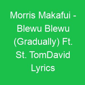 Morris Makafui Blewu Blewu (Gradually) Ft St TomDavid Lyrics