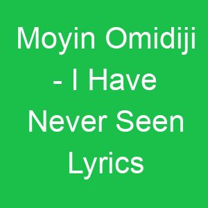 Moyin Omidiji I Have Never Seen Lyrics