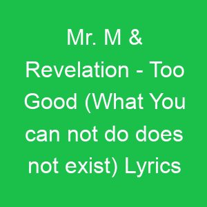 Mr M & Revelation Too Good (What You can not do does not exist) Lyrics