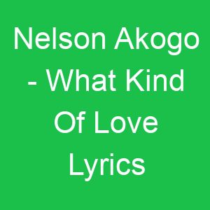Nelson Akogo What Kind Of Love Lyrics