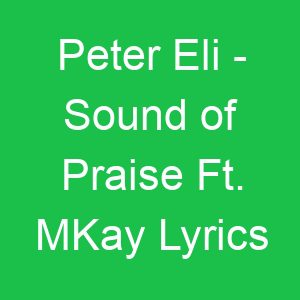 Peter Eli Sound of Praise Ft MKay Lyrics