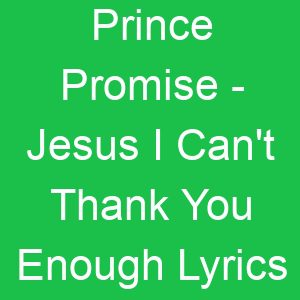 Prince Promise Jesus I Can't Thank You Enough Lyrics