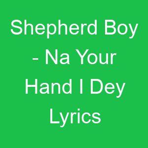 Shepherd Boy Na Your Hand I Dey Lyrics