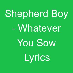 Shepherd Boy Whatever You Sow Lyrics