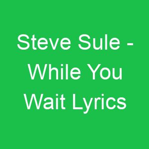 Steve Sule While You Wait Lyrics