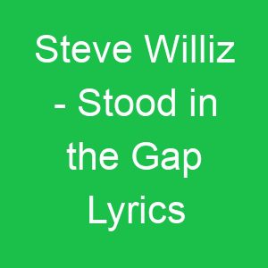 Steve Williz Stood in the Gap Lyrics
