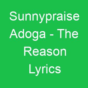Sunnypraise Adoga The Reason Lyrics