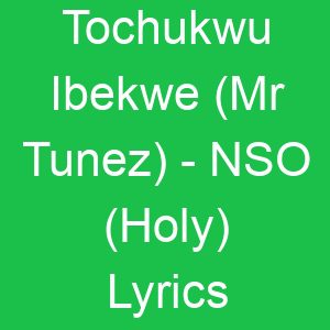 Tochukwu Ibekwe (Mr Tunez) NSO (Holy) Lyrics