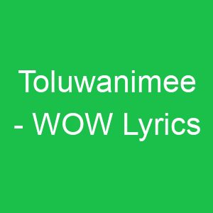 Toluwanimee WOW Lyrics