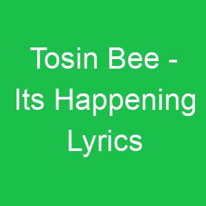 Tosin Bee Its Happening Lyrics