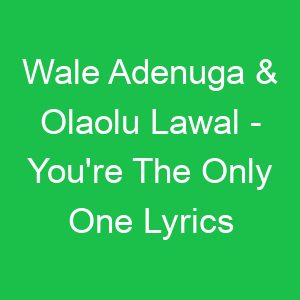 Wale Adenuga & Olaolu Lawal You're The Only One Lyrics