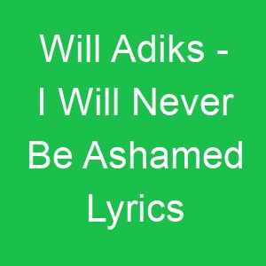 Will Adiks I Will Never Be Ashamed Lyrics
